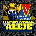Zygmuntowskie Aleje