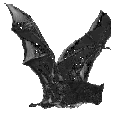 WANDERING SPIRITS ࣪ ִֶָ𓉸𓂃 Discord server icon