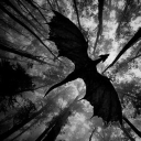 Ashes of the Unification Discord server icon