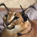 Floppa Gaming