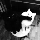 :3