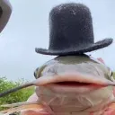 REINO DE LOH BAGRE🔥