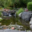 The Pond
