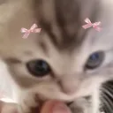 Cat Landy