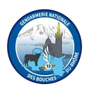 CIR Gendarmerie des Bouches du Rhône | Banlieu13 RP