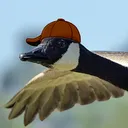 Goosecord