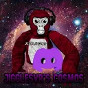 𝙅𝙞𝙜𝙜𝙡𝙚𝙨𝙑𝙍'𝙨 𝘾𝙤𝙨𝙢𝙤𝙨 🚀