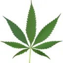 420 Traphouse and Straps