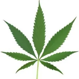 420 Traphouse and Straps — мониторинг Discord сервера, статистика и рейтинг