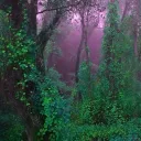 ⋆ ✧･ﾟforest of stars ✧･ﾟ: