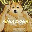 Gigadoge Reincarnated 👑