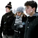 ⁺   ♡  potterheads