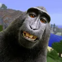 (WIP)Monke Network