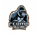 COMP TAGGERING