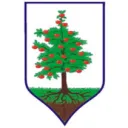 Projket Gmina Obrazów