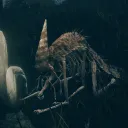 Forager Brood