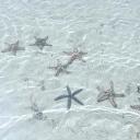 🪽 . ⌗ !! ꒰ Celestia ꒱ ୧ 🪼 ୨