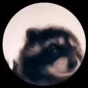 El Basurero del Koga