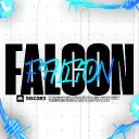 Falcon Artes