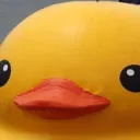🦆CazzNcul GANG🦆