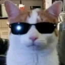 Hehe