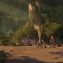 The Swamp