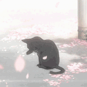 Invisible White Sword /nosuce