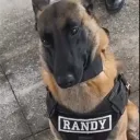 RANDY$ |