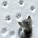 Aesthetic | Chatting ・ Voice Chat ・ Anime ・ Social ・ Music ・ VC ・ Call ・ Emojis & Emotes ・ Stickers