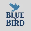 Blue Bird REDM