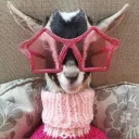the goat park