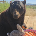 #StraggotsAnonymous Discord server icon