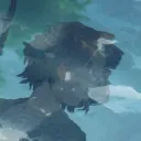 Chad's Country banner