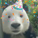 dumb dumb Discord server icon