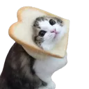 >;3 land