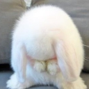 서버이전 Discord server icon