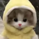 •ɞ• TAG SERVER / !! 니트로 이벤트 banner