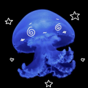 ଳ·₊° JELLY FISH TAG avatar