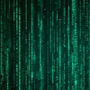 ૮ ˶ᵔ ᵕ ᵔ˶ HACK ˶ᵔ ᵕ ᵔ˶ ა avatar
