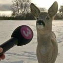 Oat’s House Discord server icon