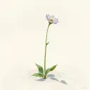 EVERGARDEN Discord server icon