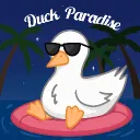 Duck Paradise 🦆