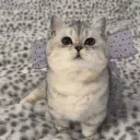 Sleepin — ᶻz𐰁