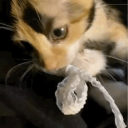 Discovery icon for Sleepin — ᶻz𐰁 Discord server