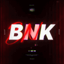 Blink INC. Town Hall