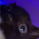 Milo's Tag