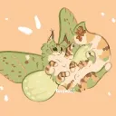 Moth Haven