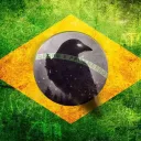 Nigth Crows