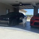 ୨ৎ | paradise banner