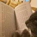 meow